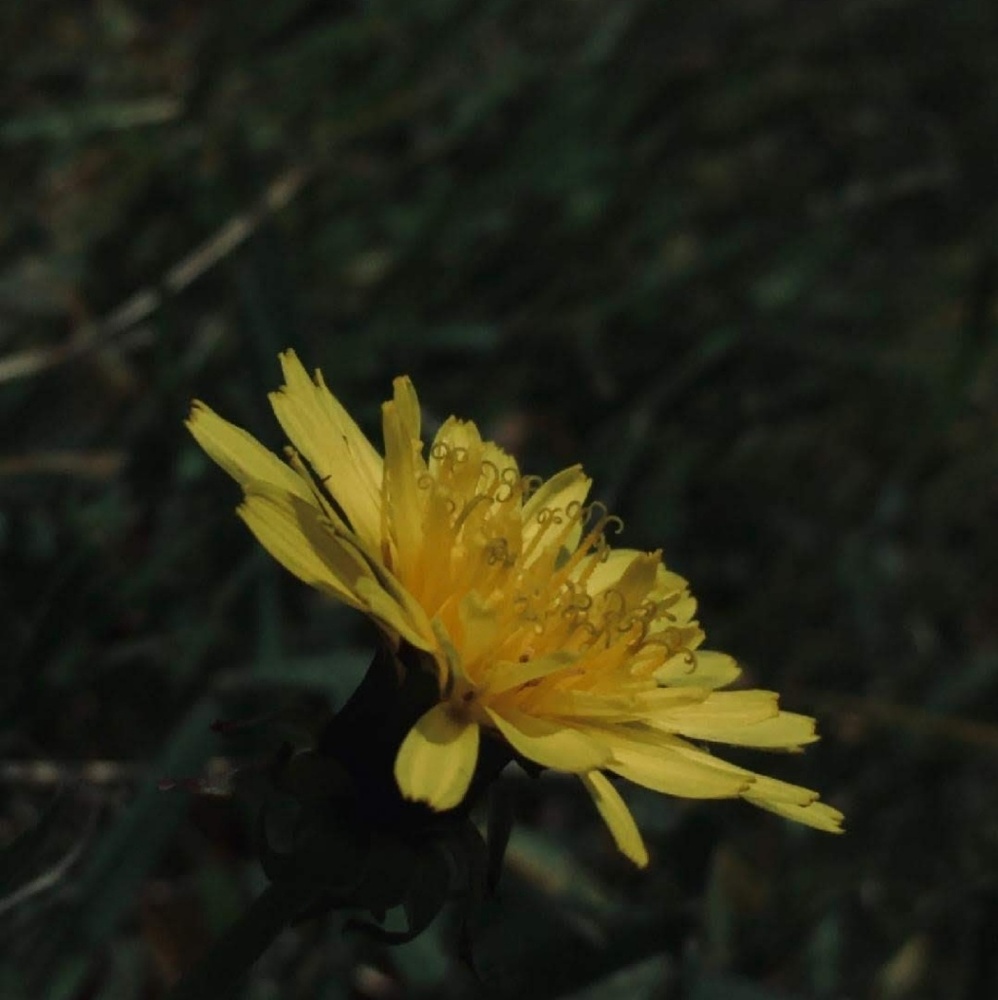 Meet your Posher, Ester